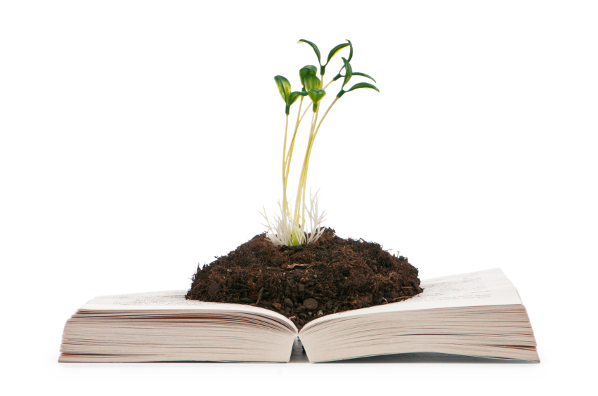 book with plant